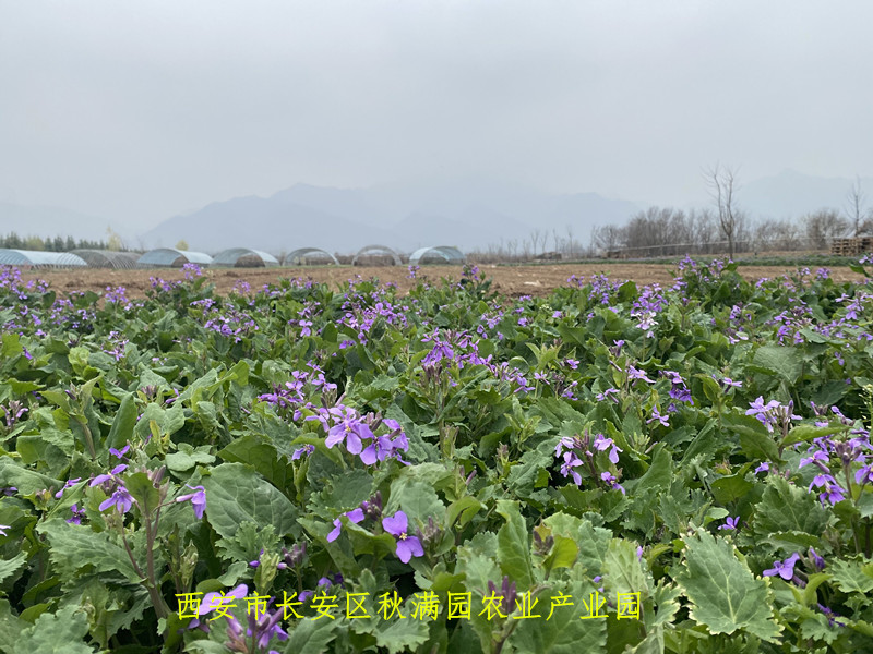 QQ图片20230408225319.jpg