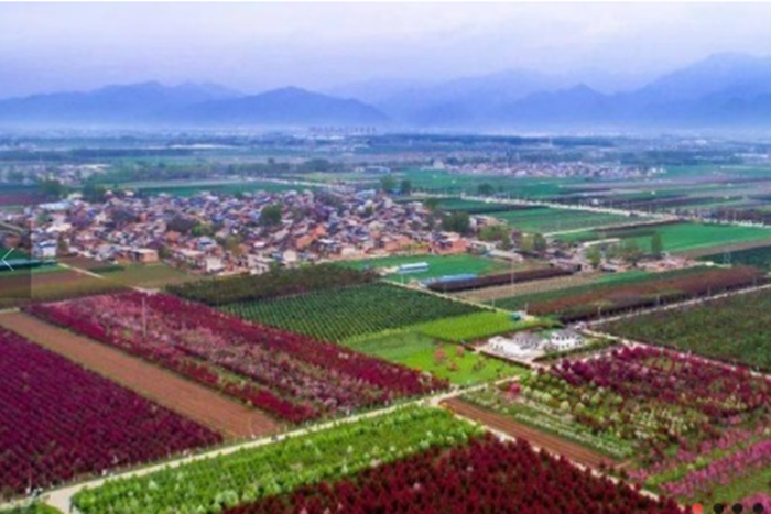 1711177716391167.png QQ图片20240323150935.png