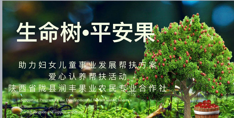 QQ图片20240507155138.jpg