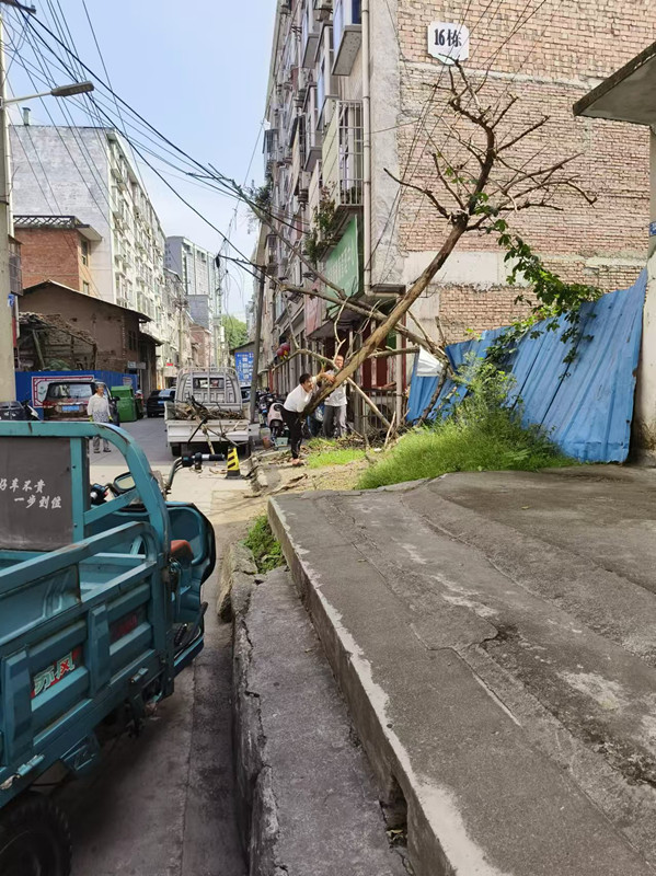 1726031110835578.jpg 微信图片_20240911084242.jpg
